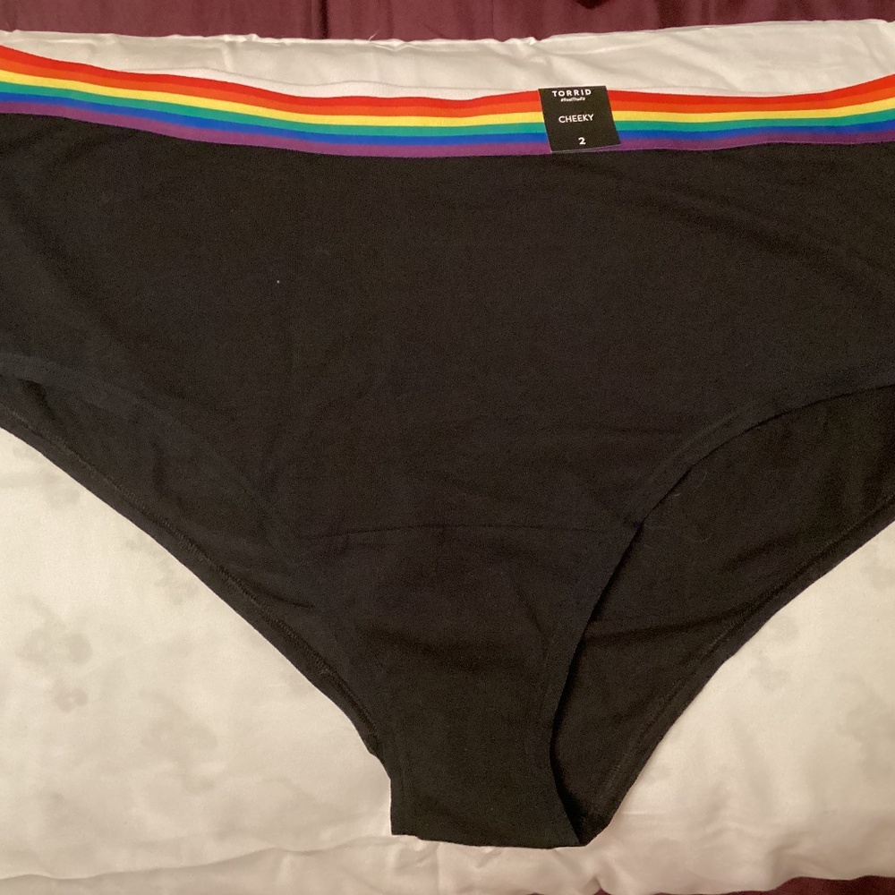Brand new torrid pride panty